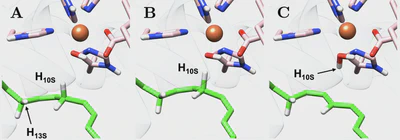 Chemistry BSc thesis project featured image