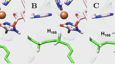 Chemistry BSc thesis project featured image